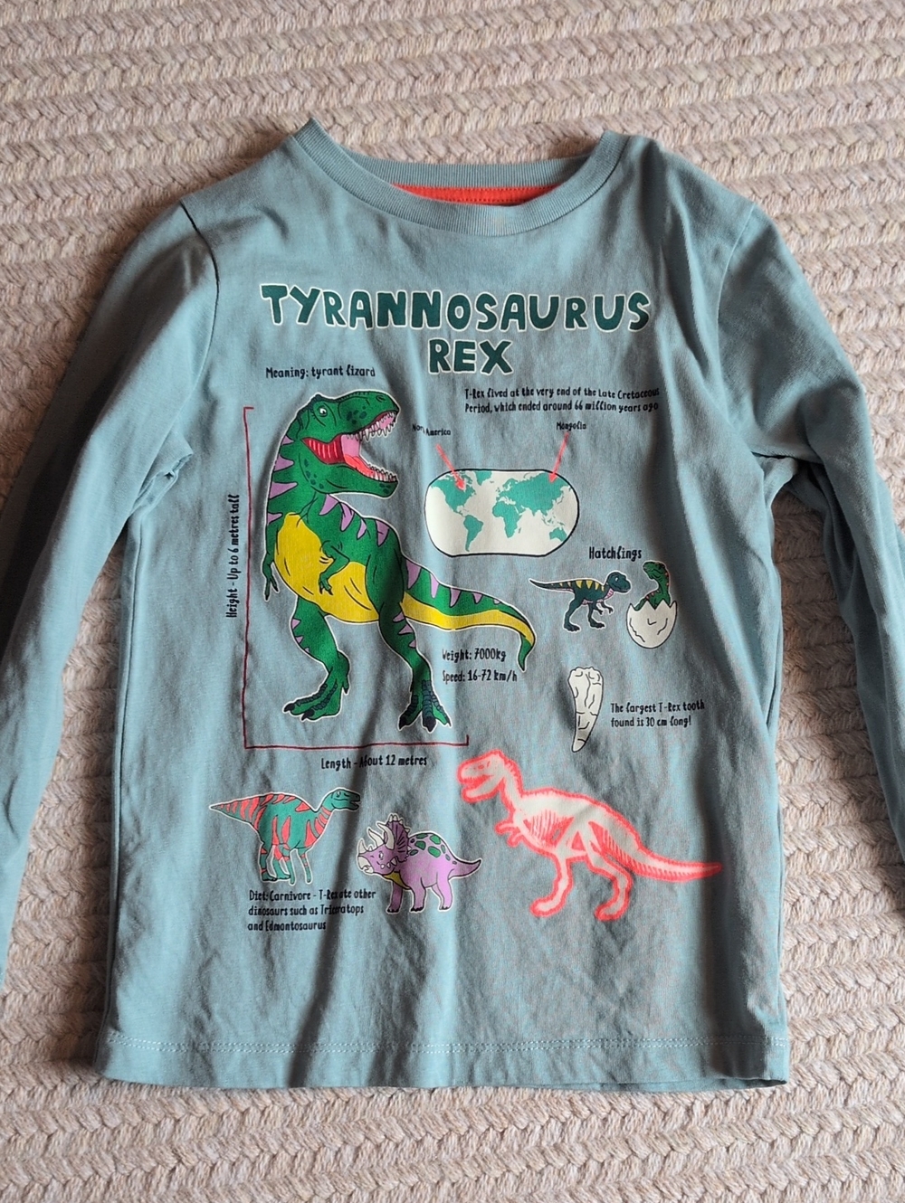 Mini Boden Light Blue Long Sleeve Dinosaur Graphic Tee